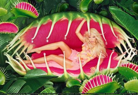 shakira